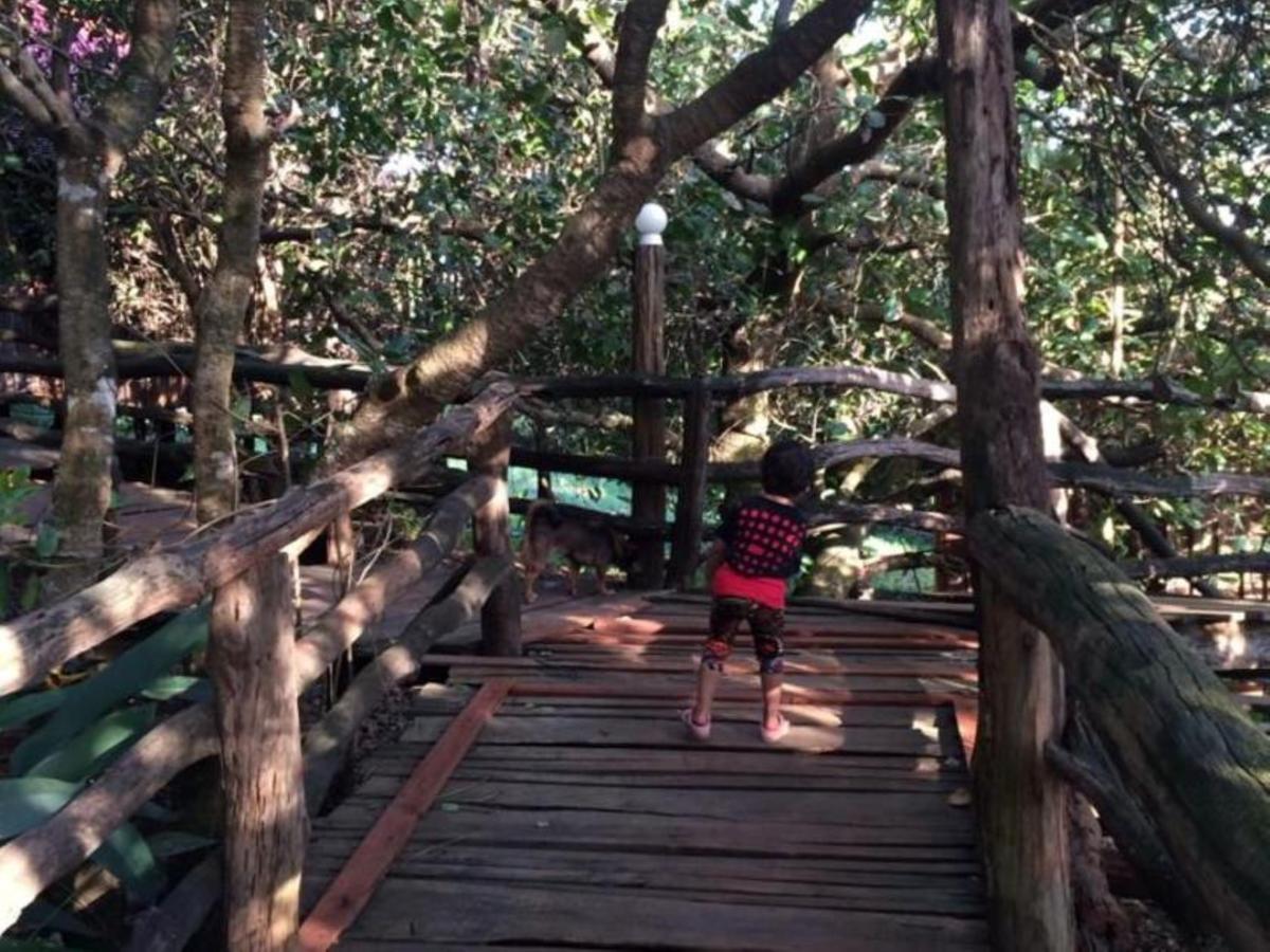 Tree Top Eco-Lodge Banlung Dış mekan fotoğraf